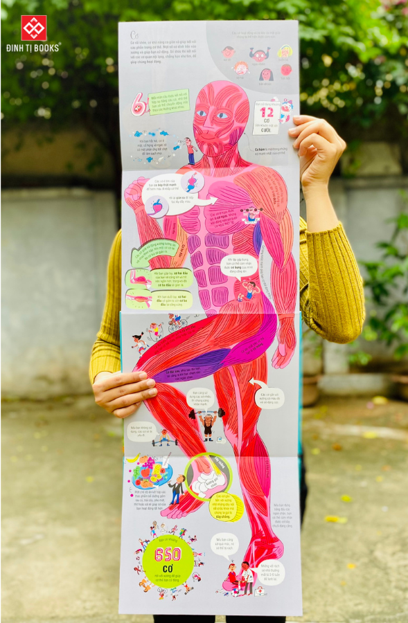 Big Book Of The Body – Cuốn Sách Khổng Lồ Về Cơ Thể Người