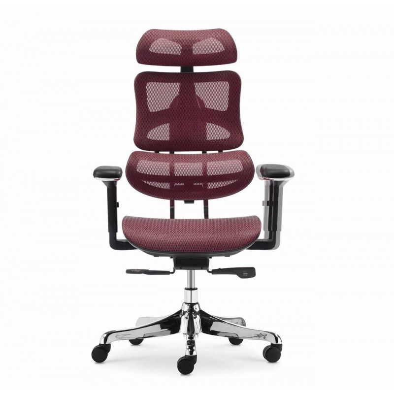 Ghế Làm Việc Công Thái Học - Ergonomics Ngả Lưng Thư Giãn AMA-CM-B137A