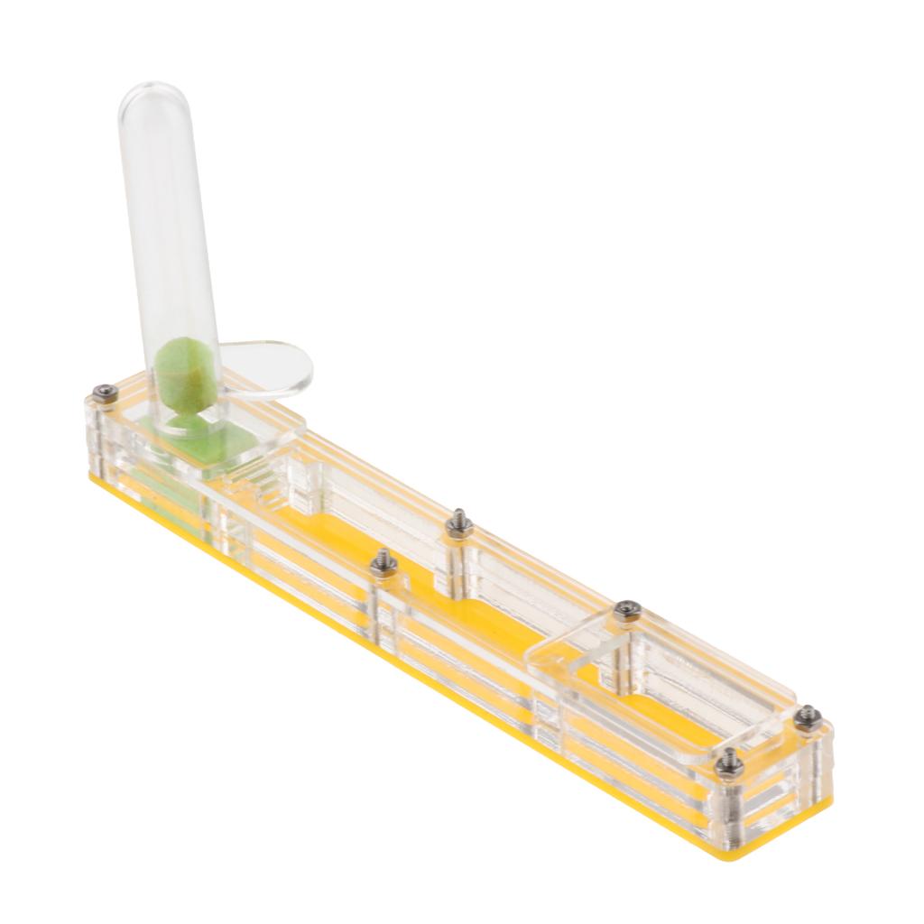 Ant Housing Box Experiment Toy Farm Insect Terrarium Pet Toys Fun Gift Clear
