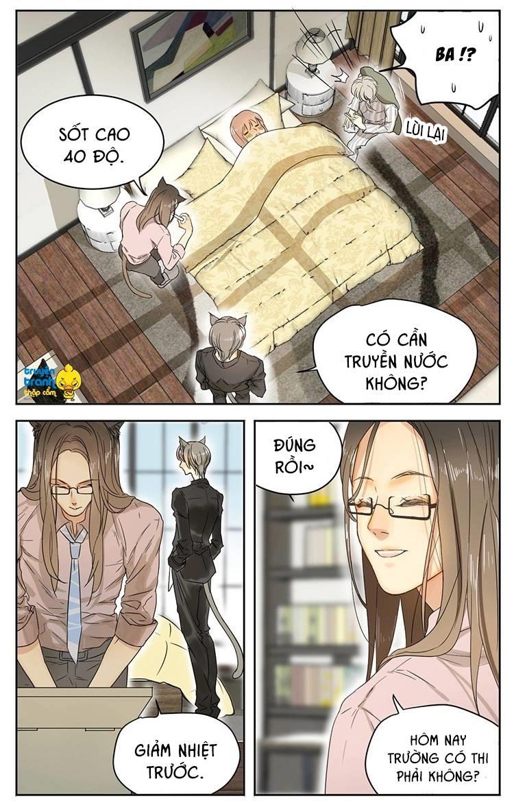 cứu mạng ! loài mèo thống trị thế giới rồi ! chapter 14 3