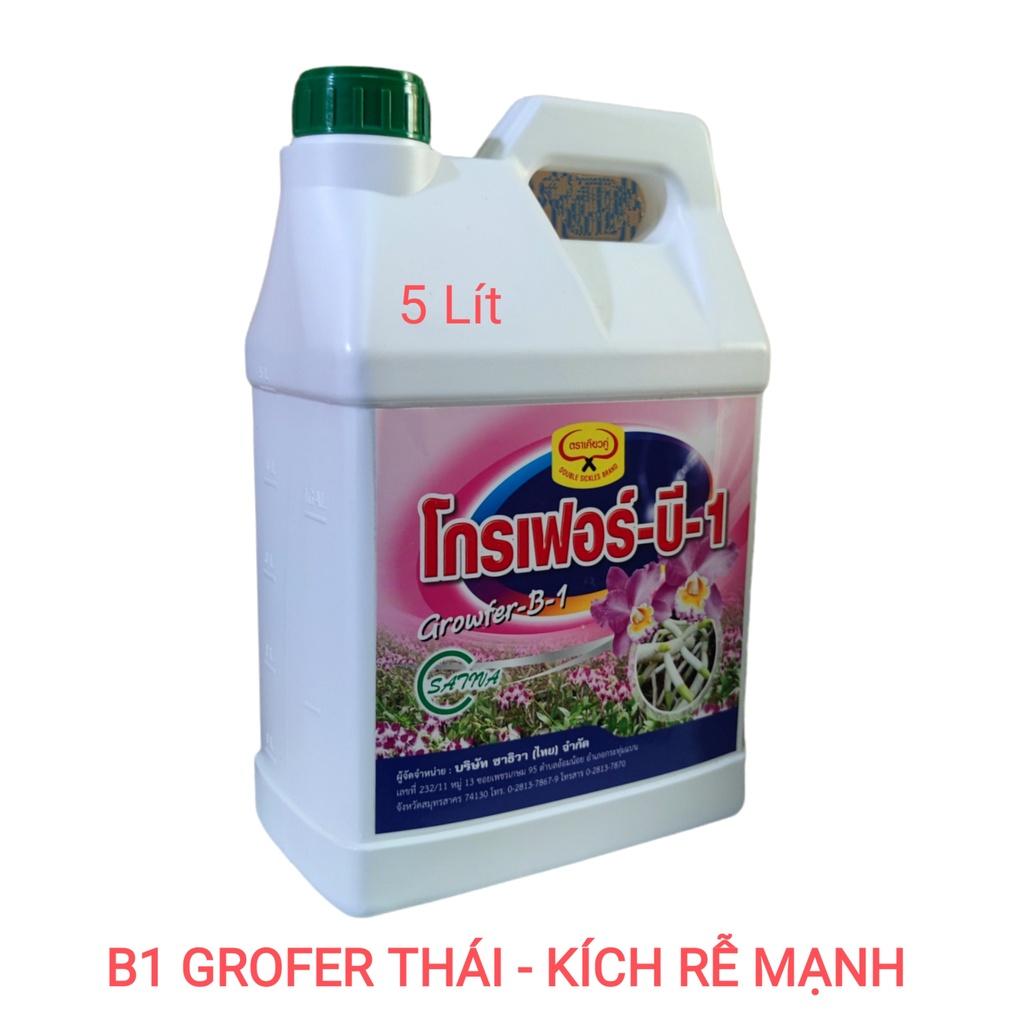 Phân bón lá Vitamin B1 Grofer Thái Lan , can 5 lít - Mẫu mới nhất