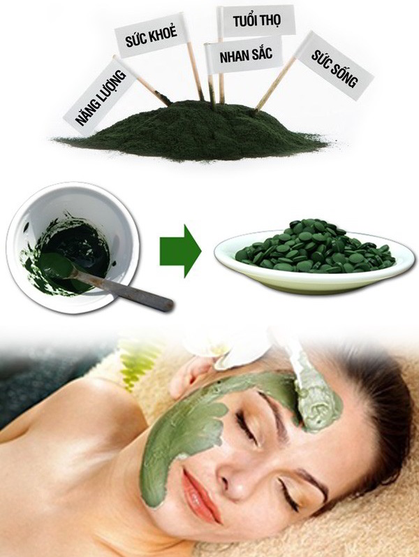 Tảo T.A.O Spirulina kết hợp chùm ngây