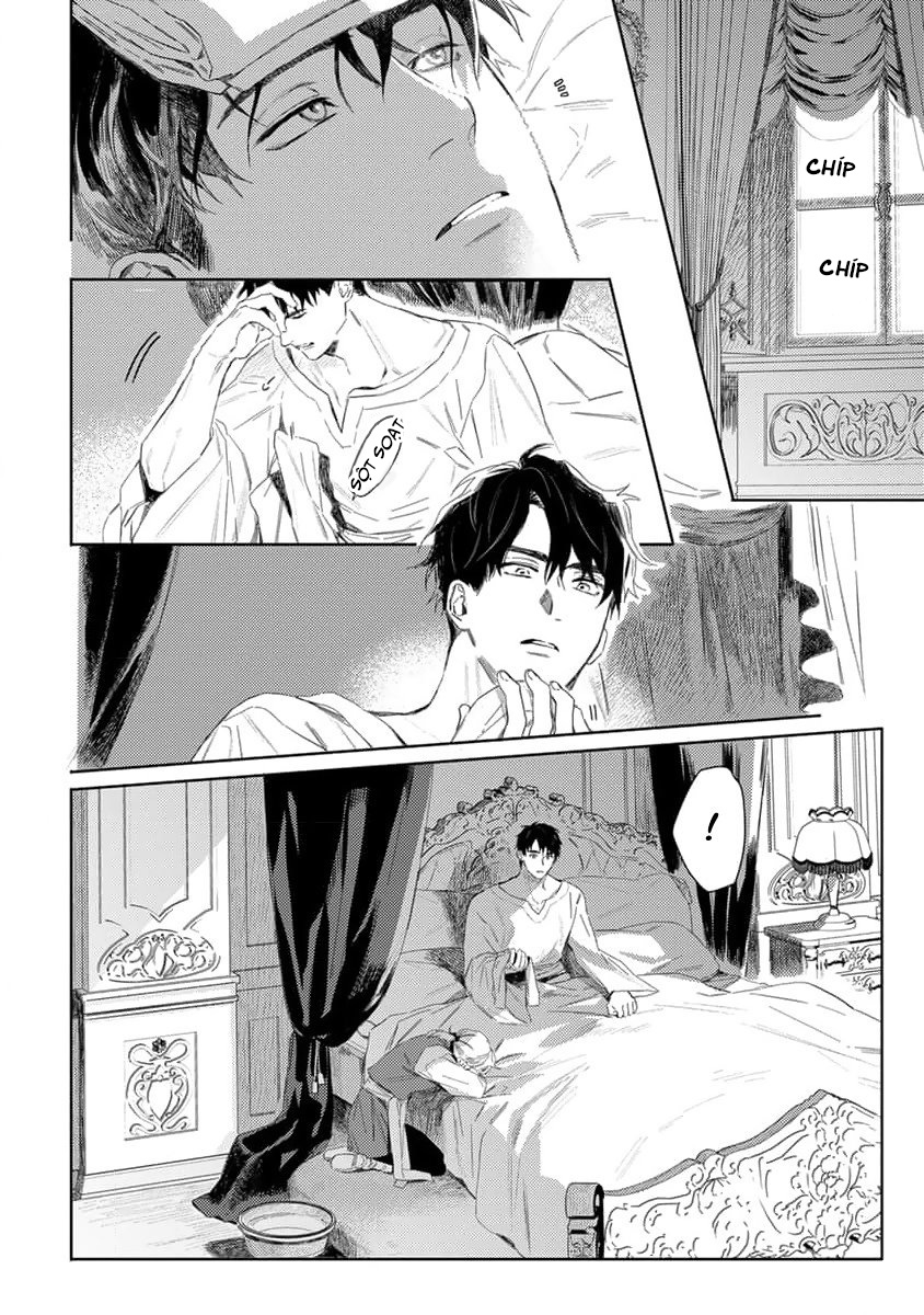 tình yêu hoa hồng dại chapter 2 6