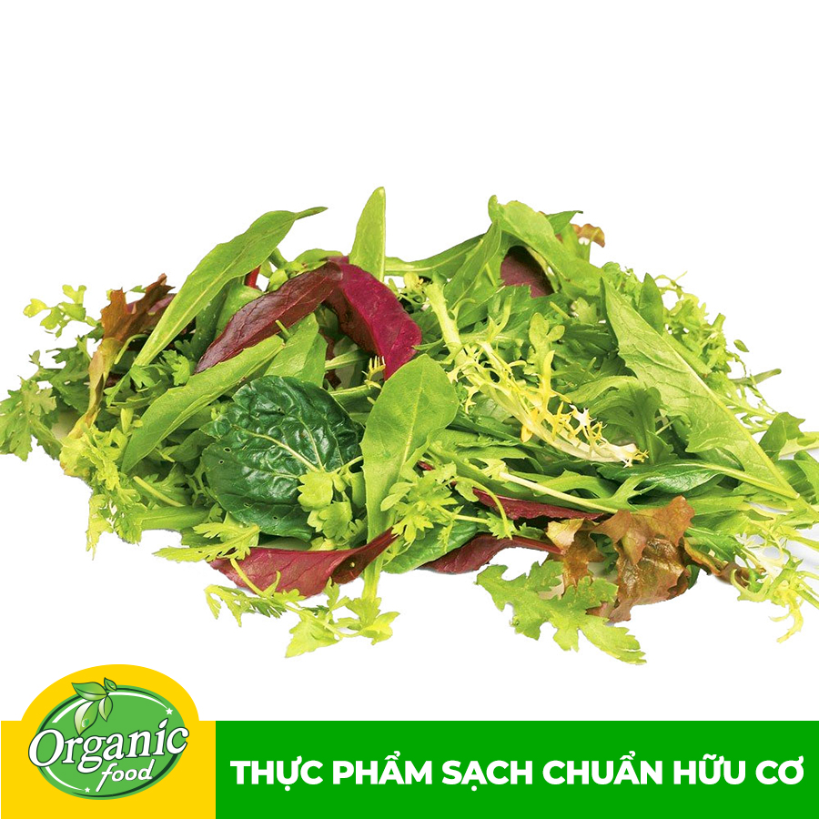 - Xà Lách Hỗn Hợp Asian Hữu Cơ Organicfood Hộp - 150g