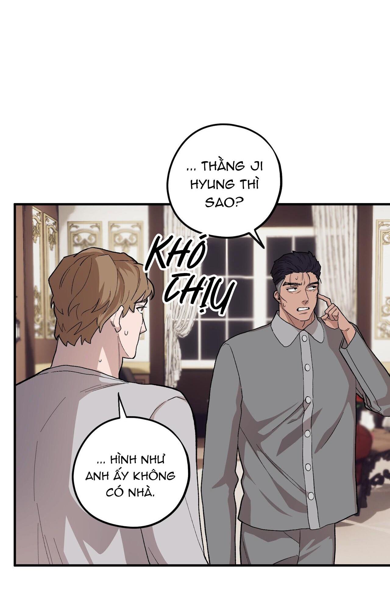 làm dâu nhà tài phiệt họ kang chapter 54 65