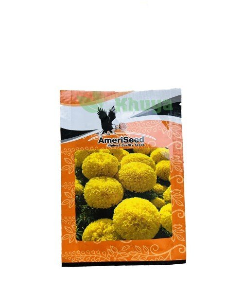 Hạt giống Hoa Vạn Thọ Lùn F1 Vàng Chanh AFM 45 AmeriSeed