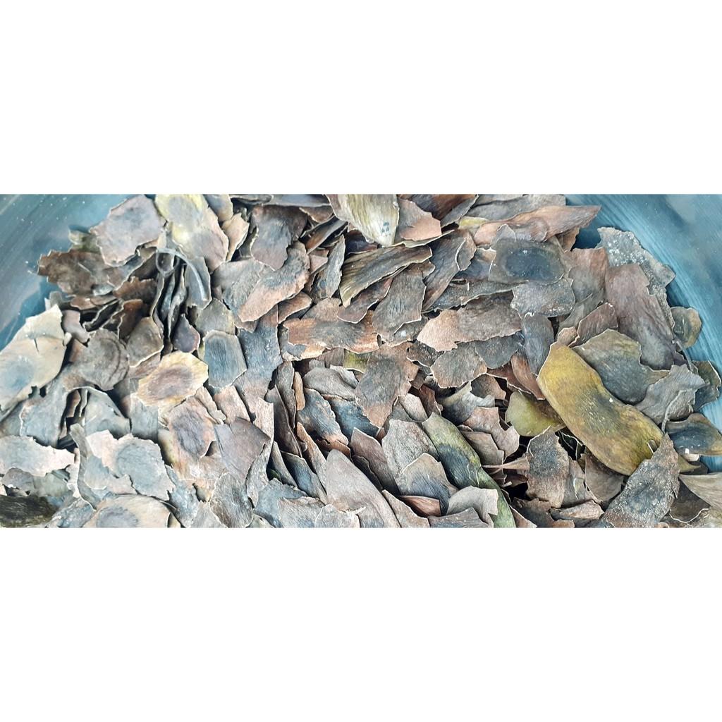 700gram sưa đỏ giống
