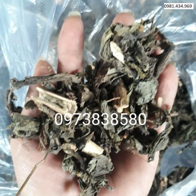 Bồ công anh khô