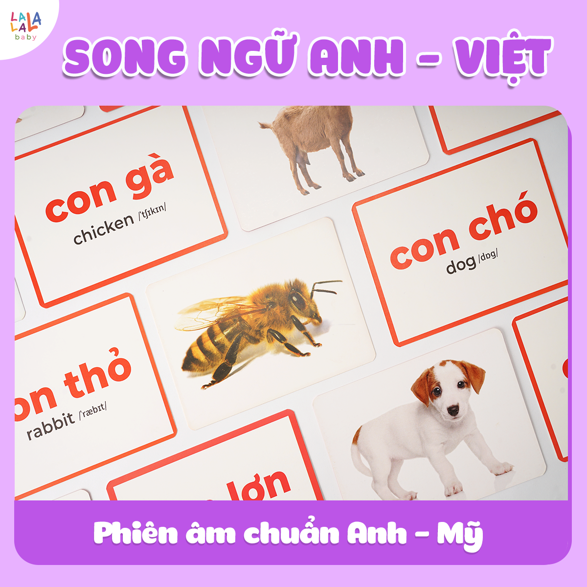 Flashcard Cho Bé - Bộ 100 Thẻ Học Thông Minh Giáo Giục Sớm Glenn Doman size A5 15x21cm song ngữ Anh Việt - Lalala Baby