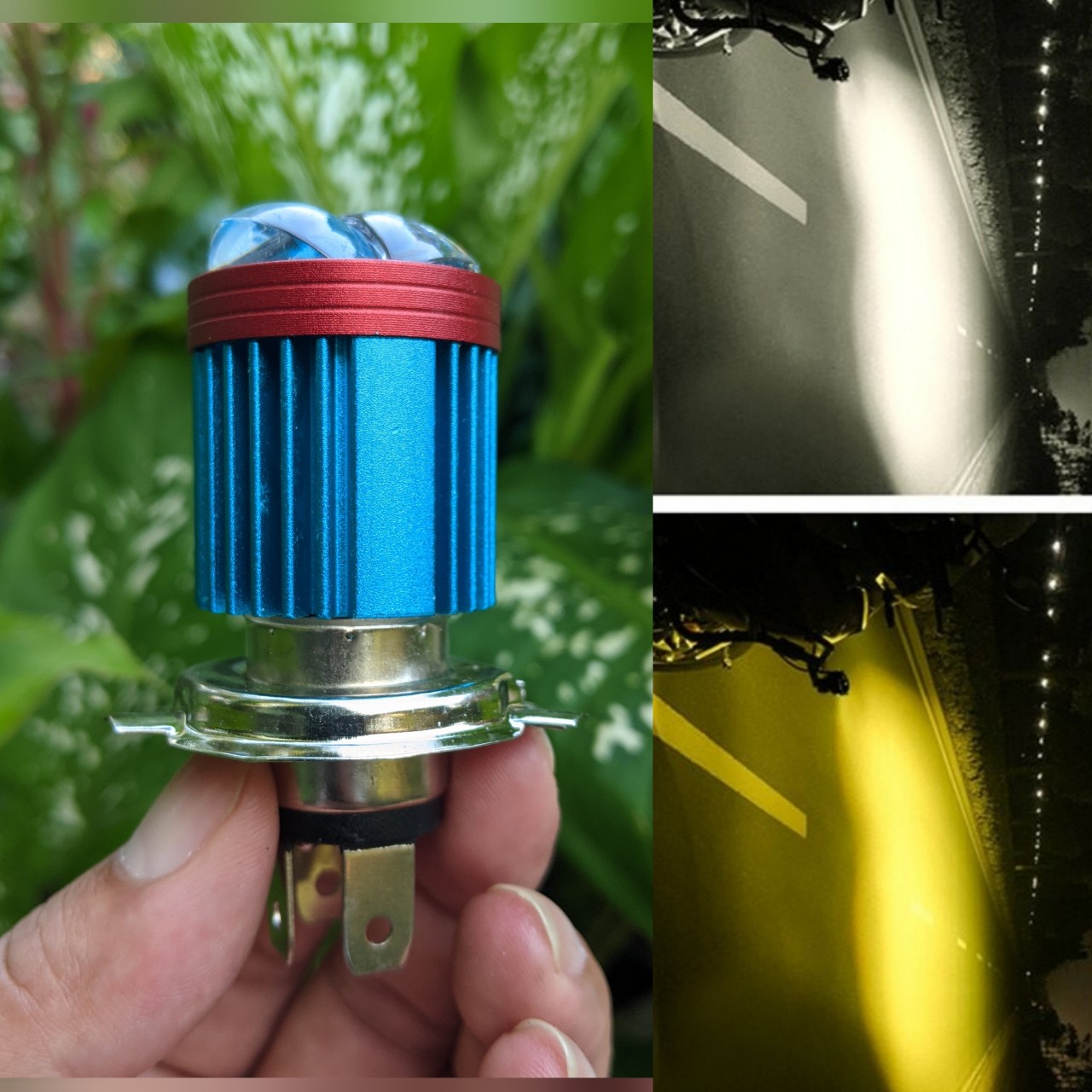 Đèn pha xe máy led bi cầu Z02 cốt vàng pha trắng hàng cao câp