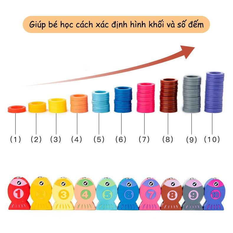 Bộ Bảng Gỗ Câu Cá ️ Đồ Chơi Giáo Dục ️ Ghép Hình