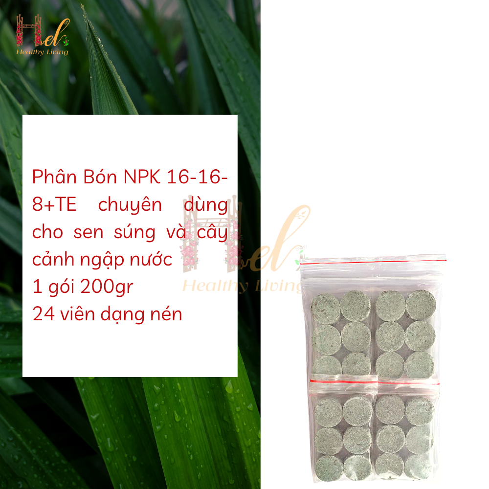 Phân Bón Hoa Sen Hoa Súng Và Cây Ngập Nước NPK 16-16-8+TE Gói 24 Viên