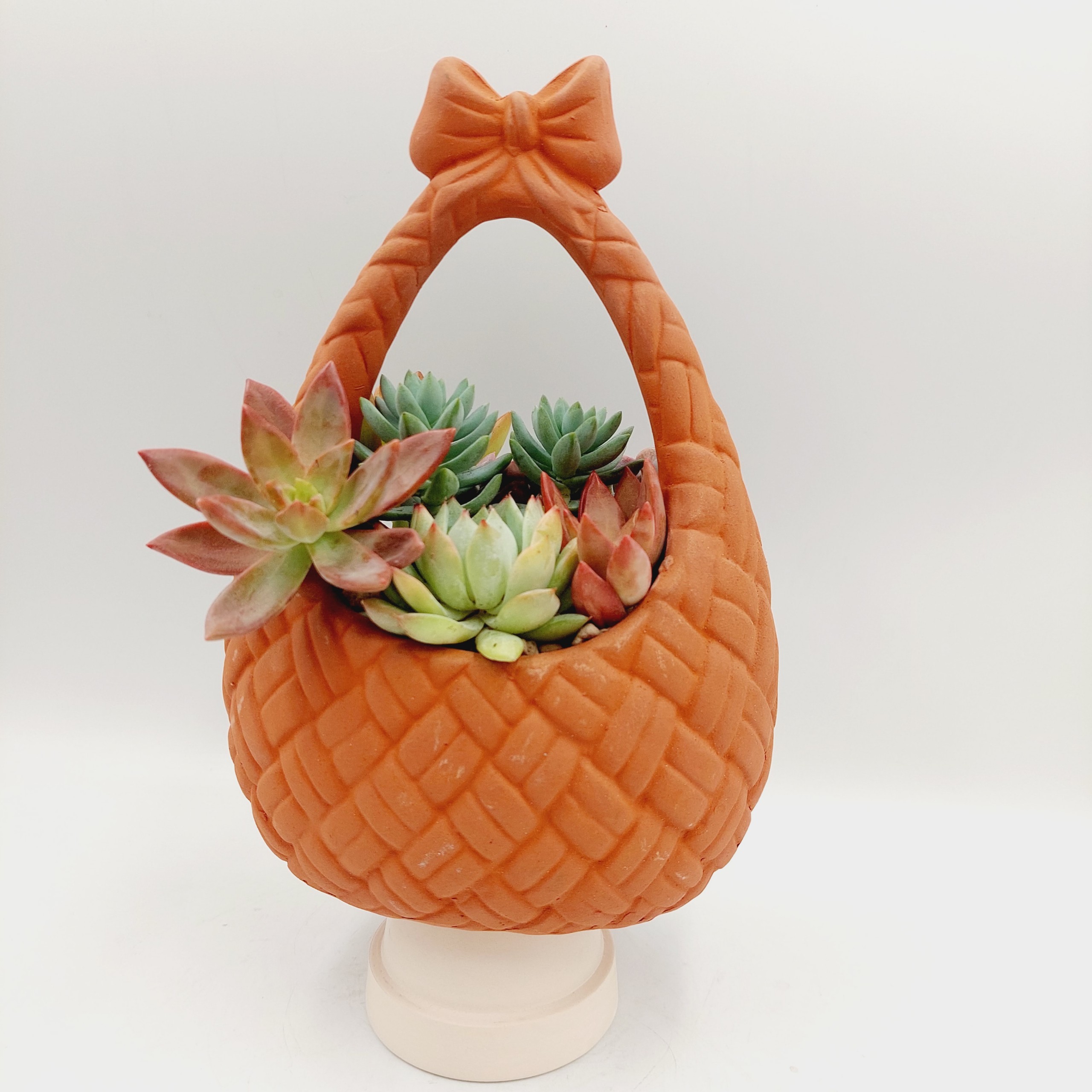 Chậu đất nung, chậu sen đá -Giỏ nơ, miệng chậu , chiều cao 20cm
