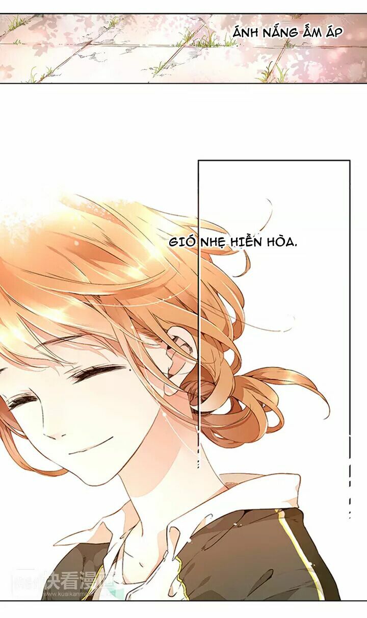 Tình yêu là màu hoa anh thảo chapter 16.3 8