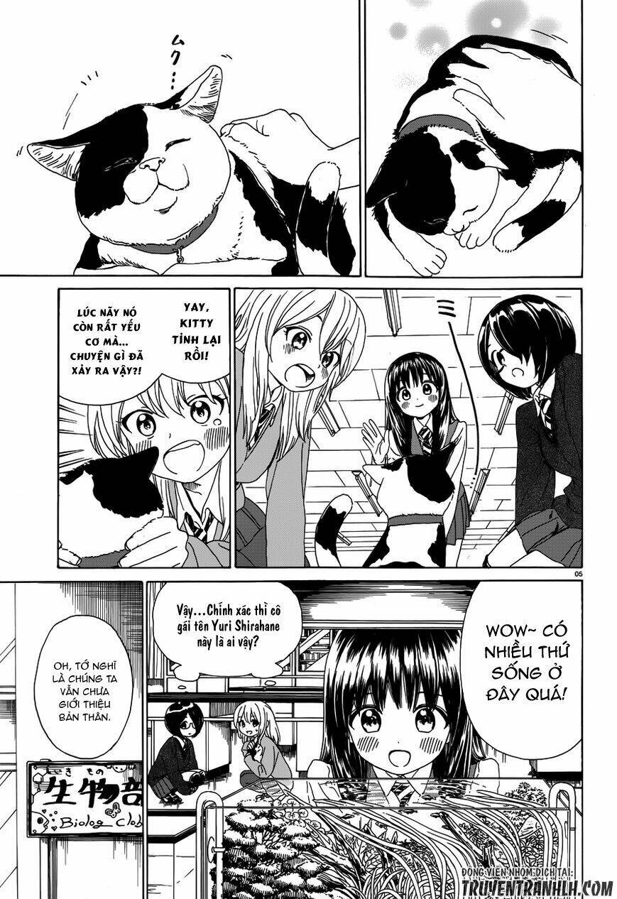 yumekuri chapter 31 7