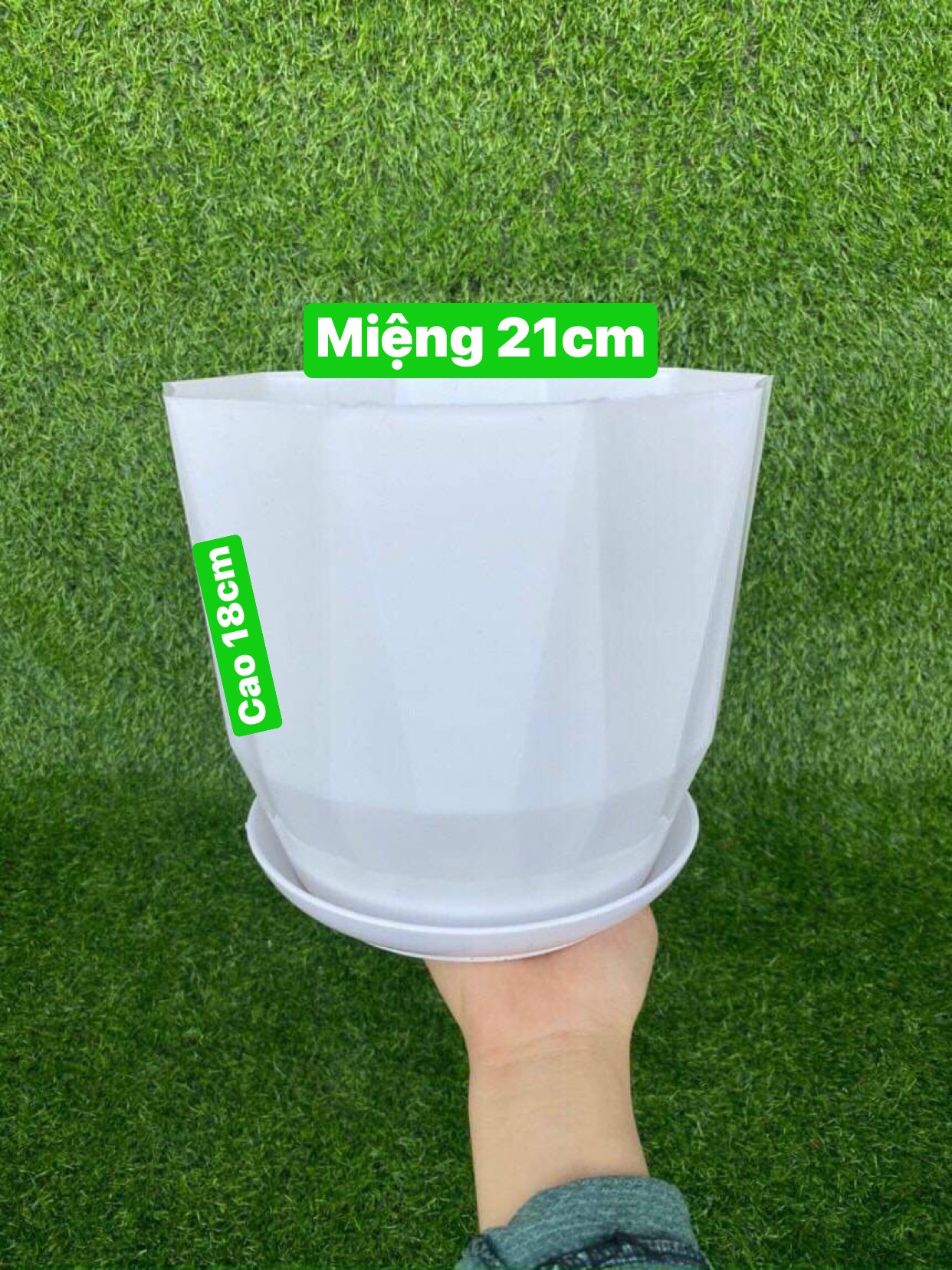 Chậu kim cương trồng hoa cây cảnh để bàn cao cấp kèm đĩa KT 21 x 18cm