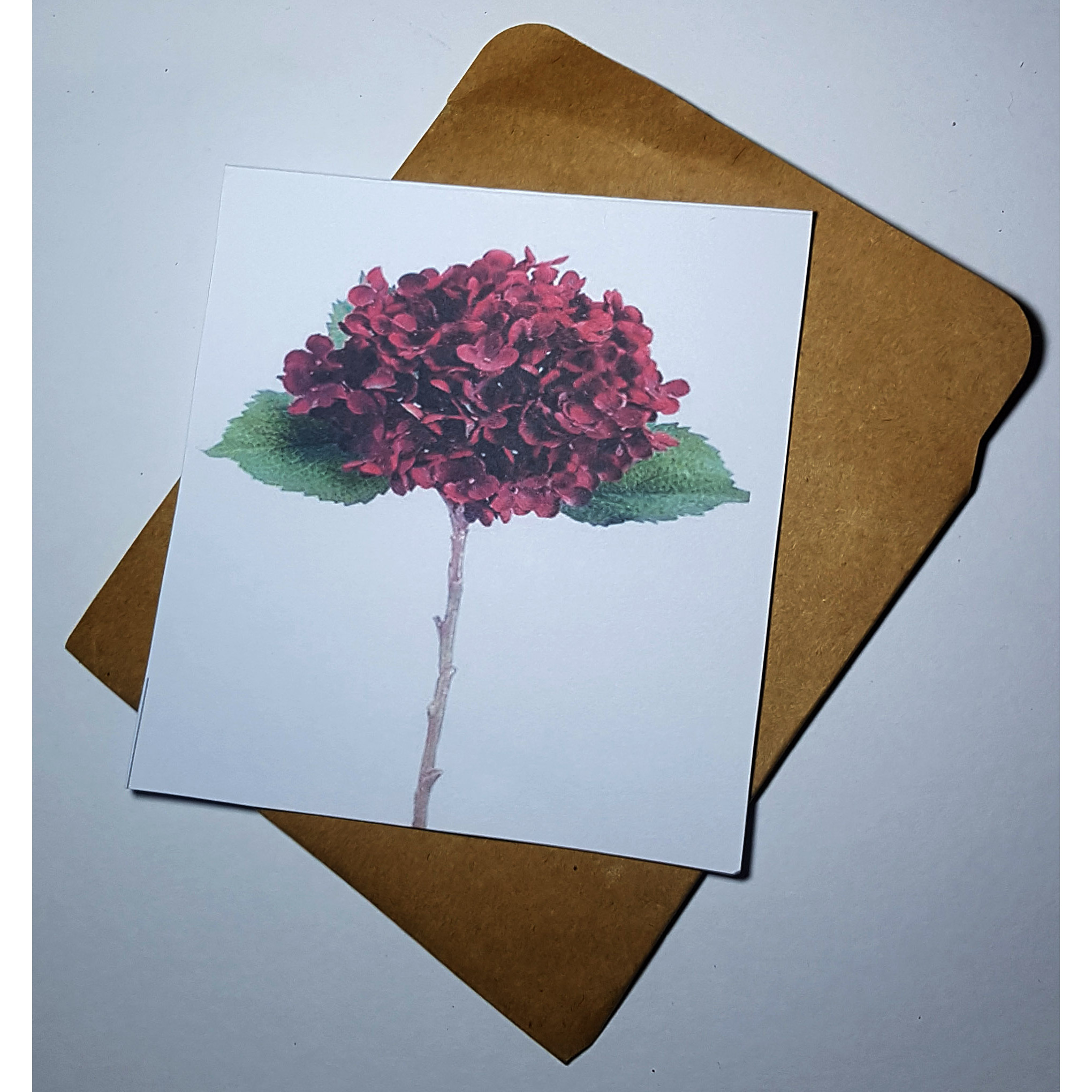 Thiệp phong cách Vintage card quà cám ơn ,chúc mừng sinh nhật và giử tặng người thân yêu.