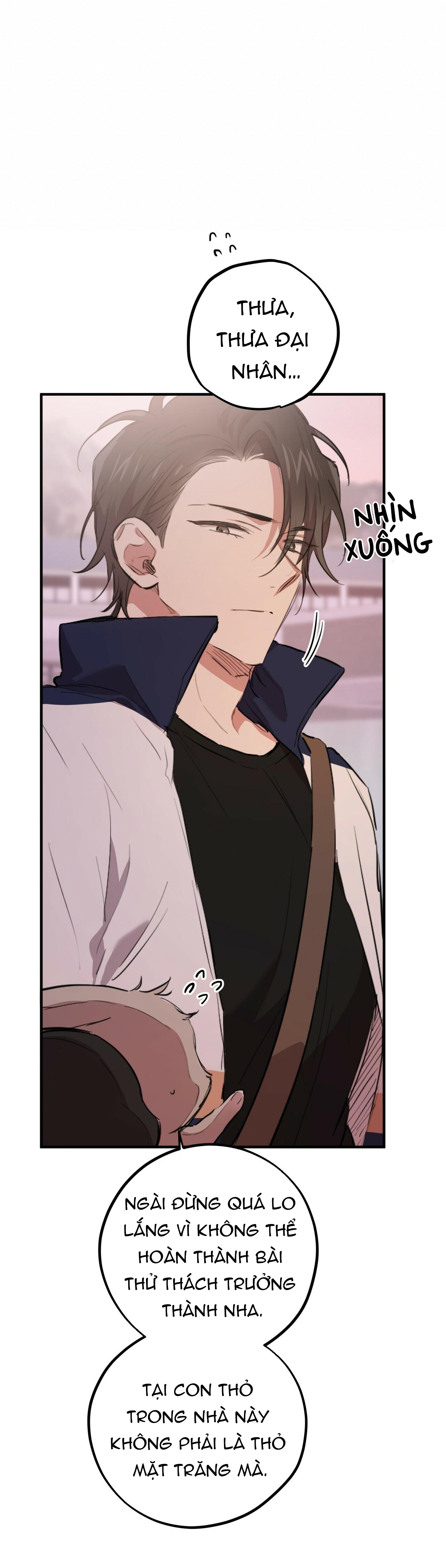 những chú thỏ của hapypy chapter 19 28