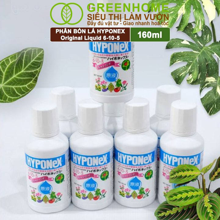 Phân Bón Lá Greenhome Hyponex, Original Liquid 6-10-5, 160ml, Cây Dễ Hấp Thụ, á Tốt Lá Cực Nhanh, Tạo Mầm Kích Nãy Chồi