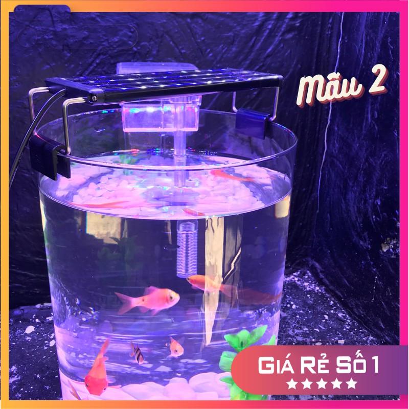 Bể cá mini để bàn tròn D20H30 COMBO Hồ Lọc Đèn kèm phụ kiện tiểu cảnh