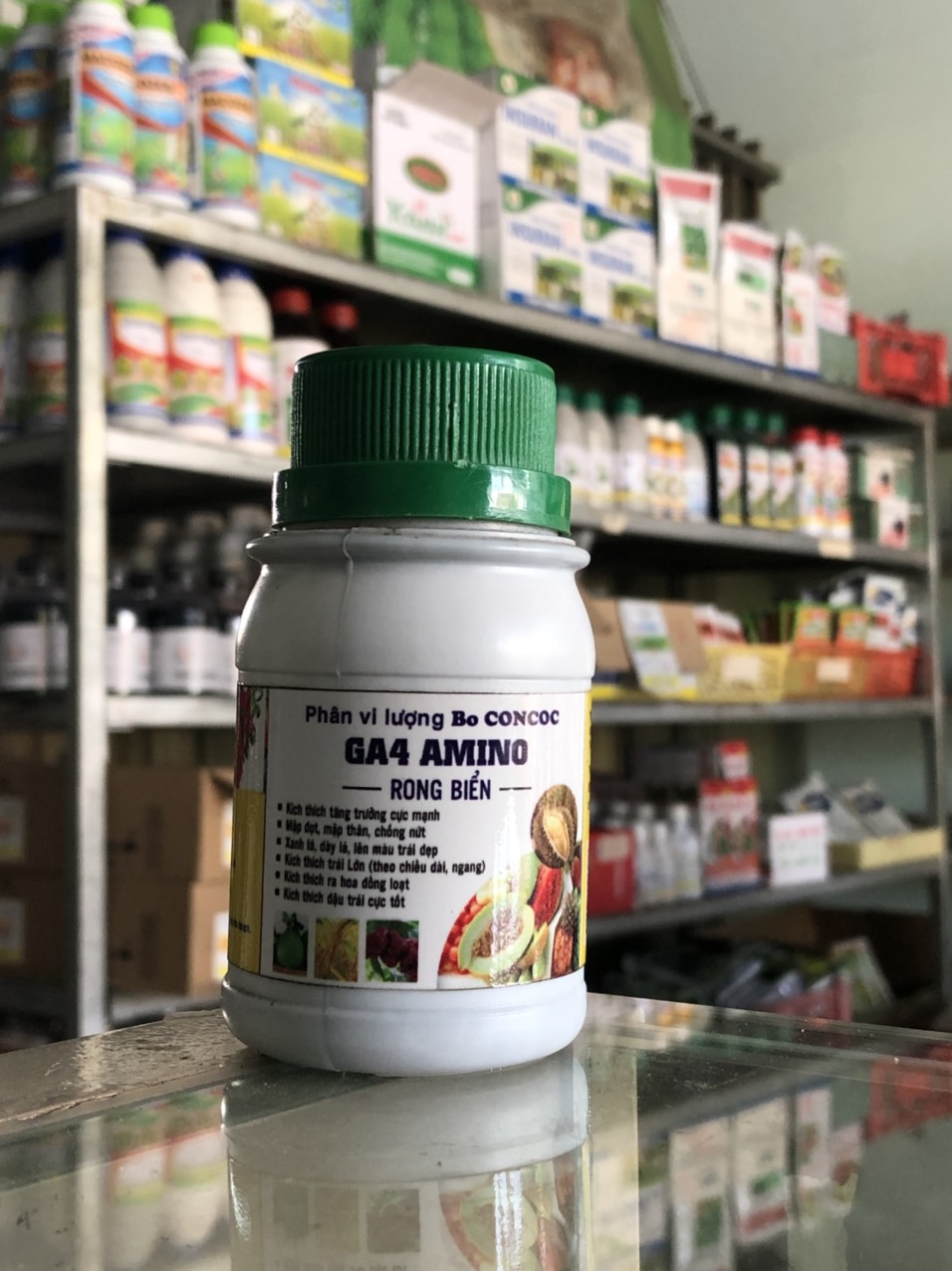GA4 AMINO RONG BIỂN- Kích thích tăng trưởng, căng nở bề ngang, bề dọc, dày lá xanh lá