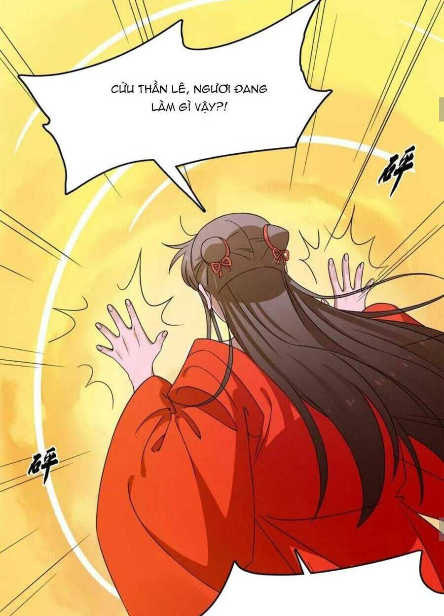 độc bộ thiên hạ: đặc công thần y chapter 419 38