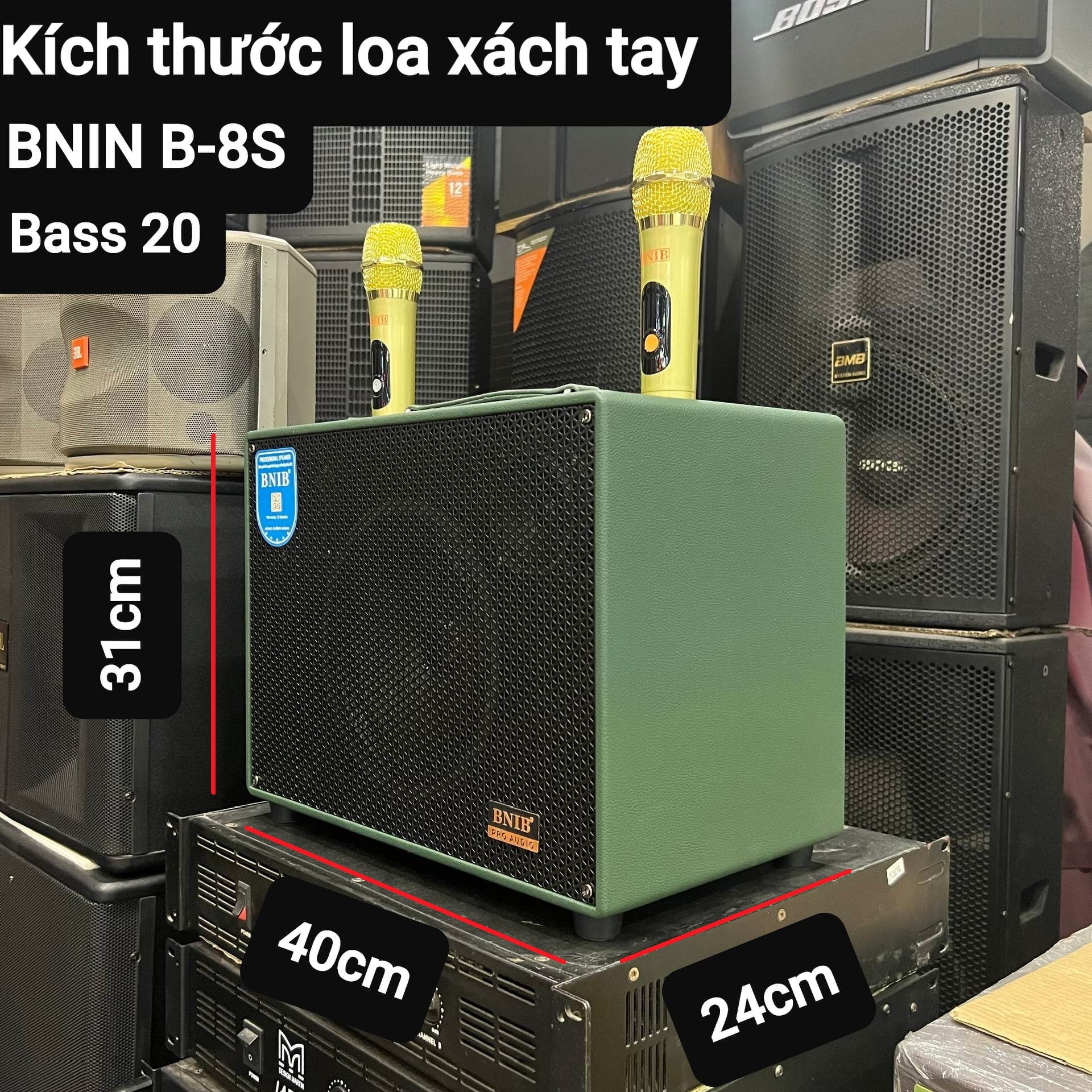 Loa xách tay Karaoke Bluetooth BNIB B-8S: Bass 20, 3 loa, Vỏ gỗ bọc da, Âm thanh chất lượng, Kèm 2 Micro vỏ kim loại