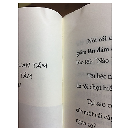 Đại Học Không Lạc Hướng