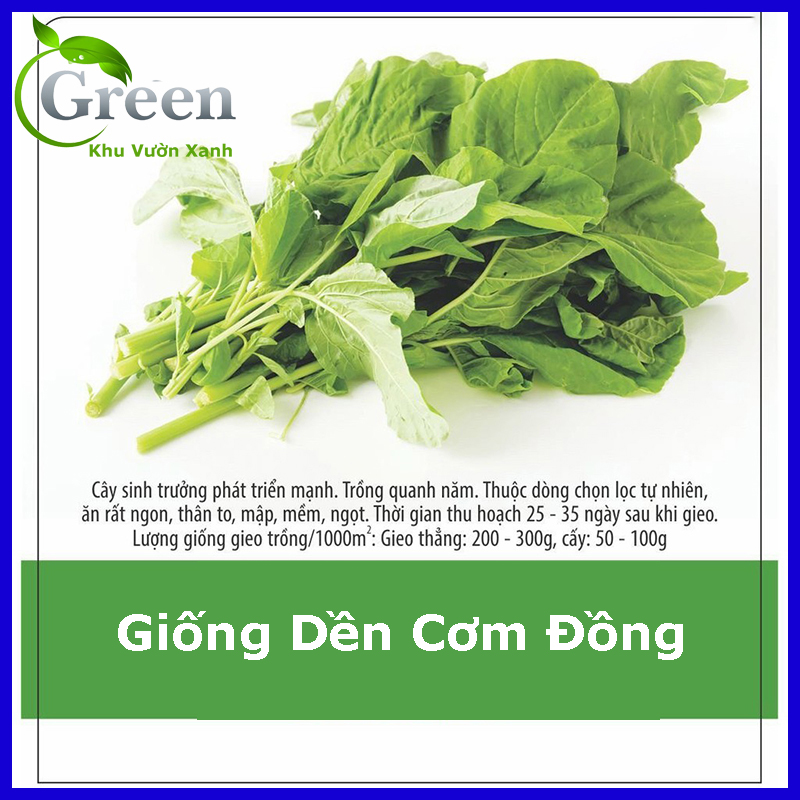 Hạt Giống Dền Cơm Đồng Chọn Lọc Tự Nhiên (20G)