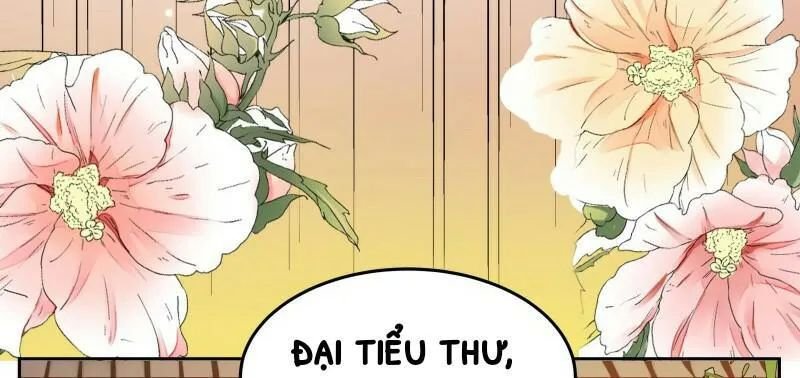 liêu cung phong hoa chapter 11 13