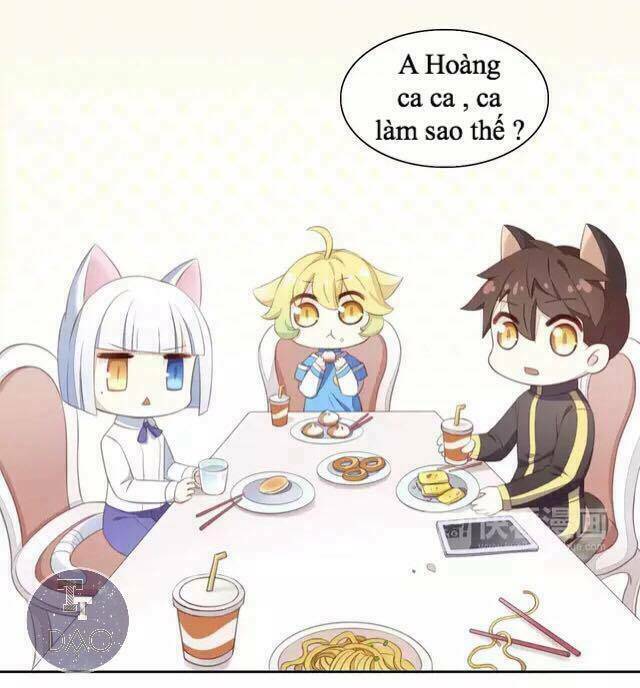 dưới móng vuốt mèo chapter 14 8