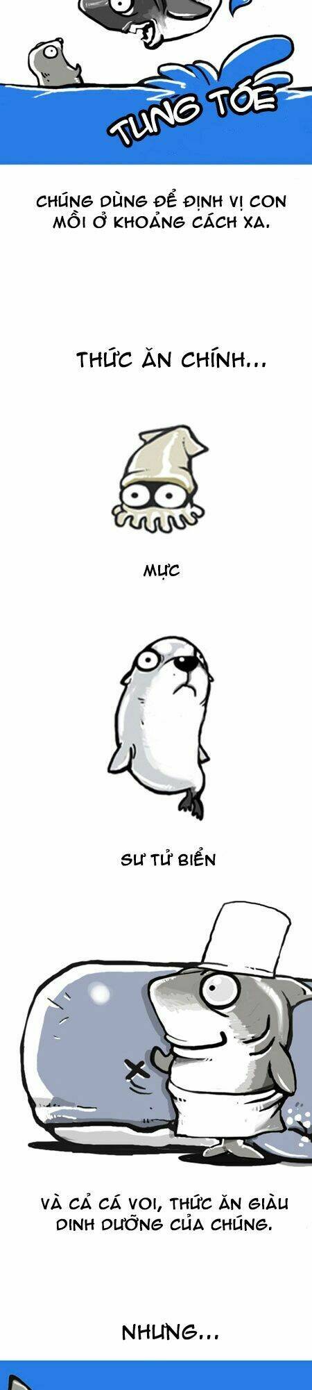 earth, human, and animal chapter 8 10