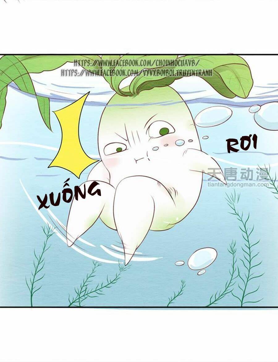 nhân hoa duyên chi sư phụ đại nhân cầu sủng ái chapter 5 10