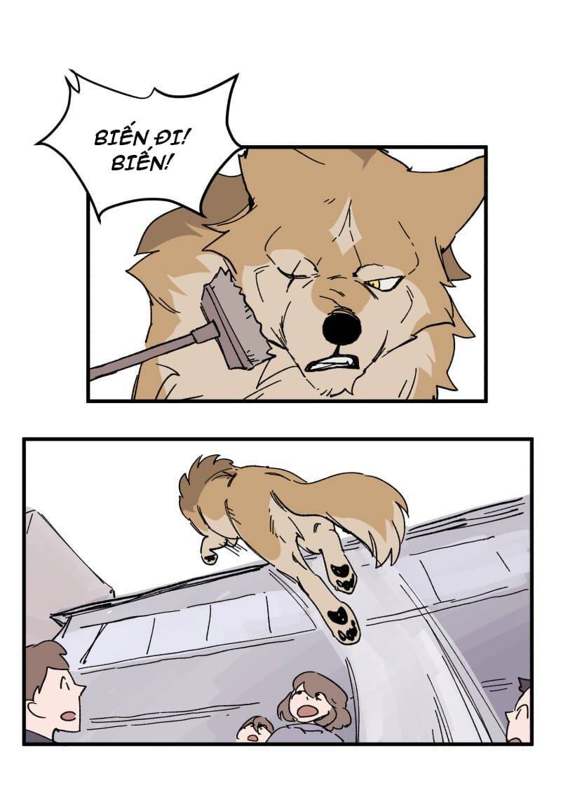 lumine - cội nguồn ánh sáng chapter 152 30