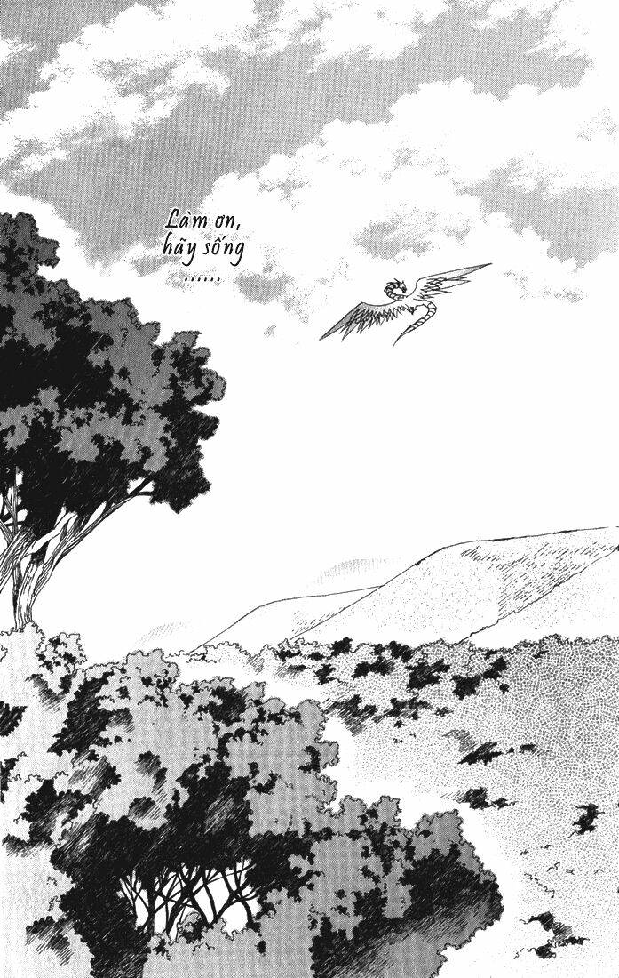 superior chapter 3 44