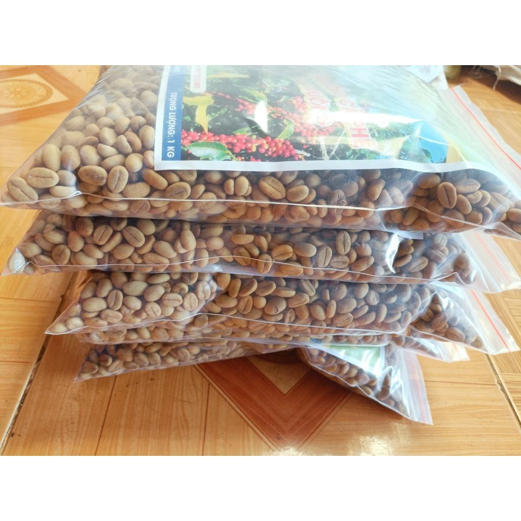 1 kg hạt giống cà phê Thiện Trường cao sản