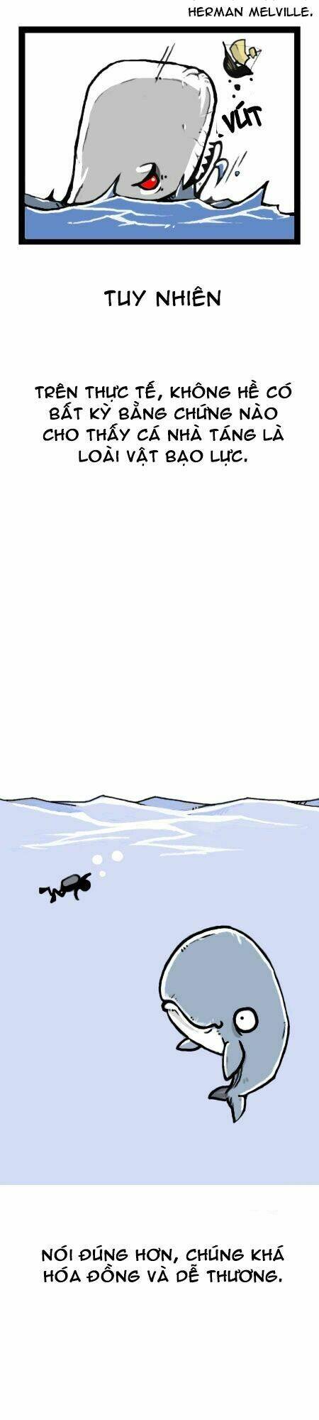 earth, human, and animal chapter 13 12