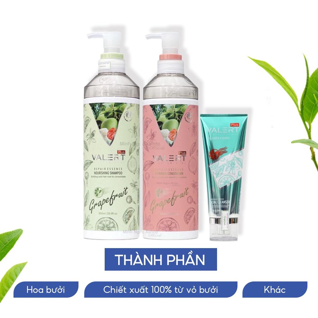 Cặp dầu gội, xả bưởi VALERT GRAPEFRUIT 850ml chống rụng kích thích mọc tóc tặng kèm sữa rửa mặt 120ml