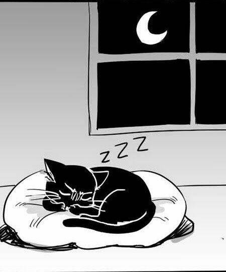 đại chiến titan - doujinshi levieren chapter 33 3