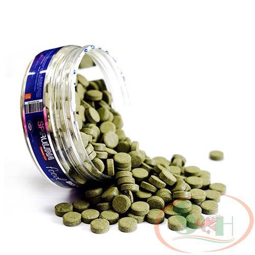 Thức ăn cá Biozym Spirulina Food Tablet viên dán hồ kính thả đáy cho cá tép cảnh