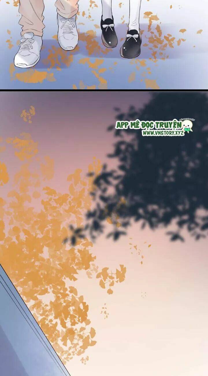 trạch thượng tịch mịch huỳnh hỏa chapter 49 17