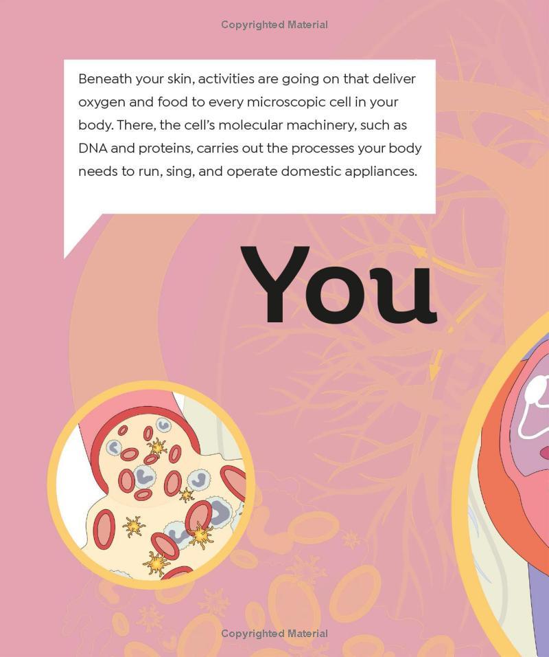 Sách ngoại văn: How Everything Works - From Brain Cells To Black Holes