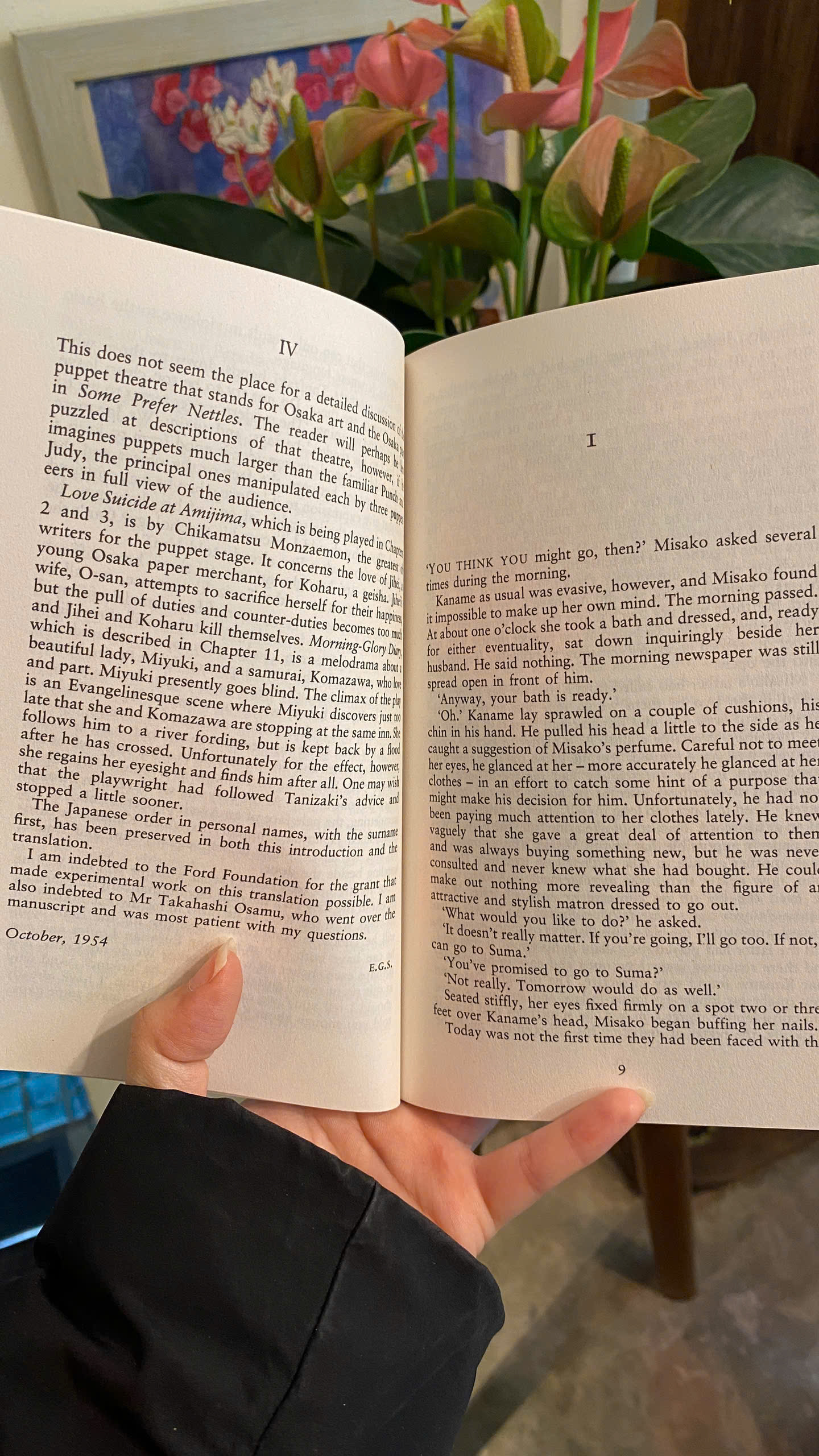 Sách - Some Prefer Nettles by Junichiro Tanizaki| Japanese Literature/ Classics/ Ngoại văn Nhập khẩu