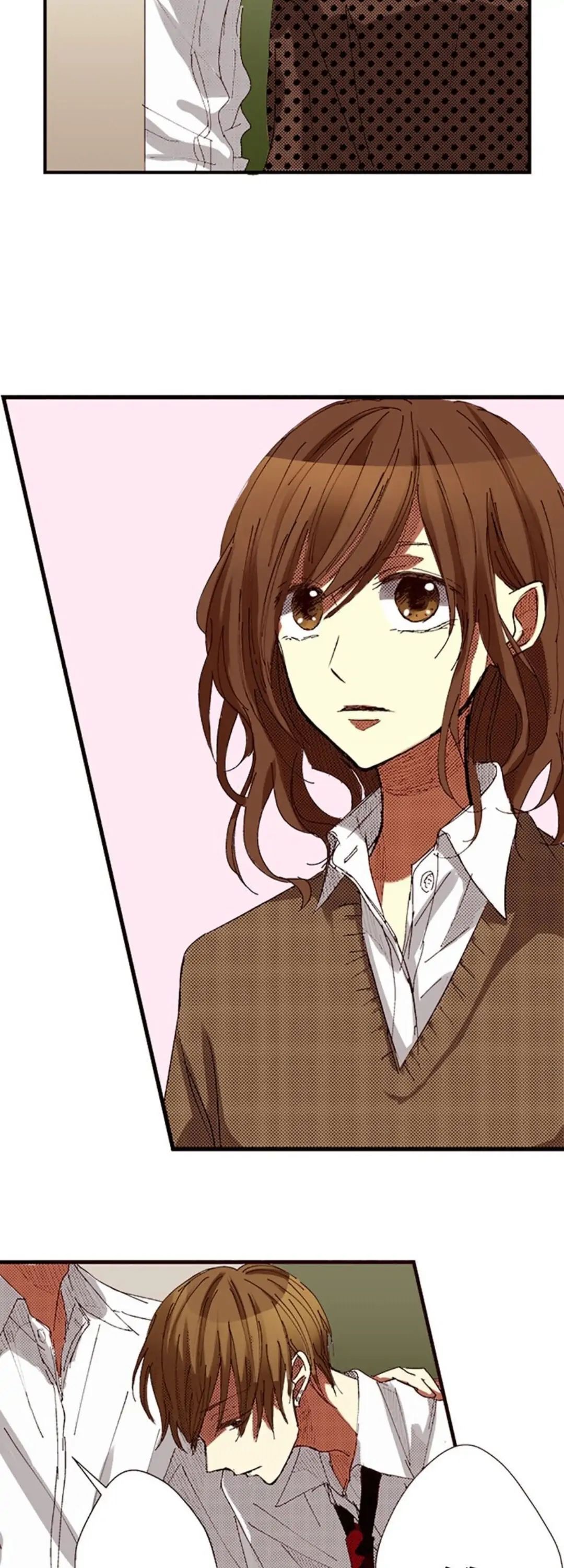 Tôi Ghét Nụ Cười Ấy chapter 15.1 - Trang 8