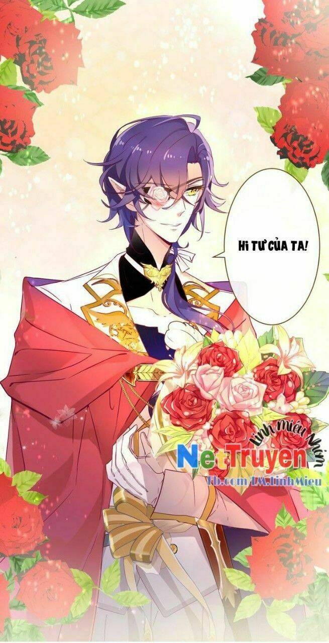 thuần bạch vận mệnh chi luân chapter 1 29