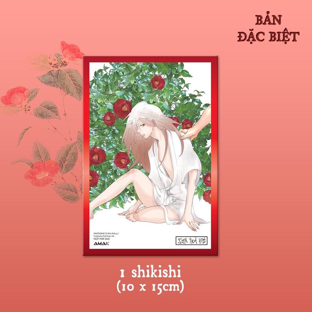 Sách Sơn trà đỏ  - Bản Quyền