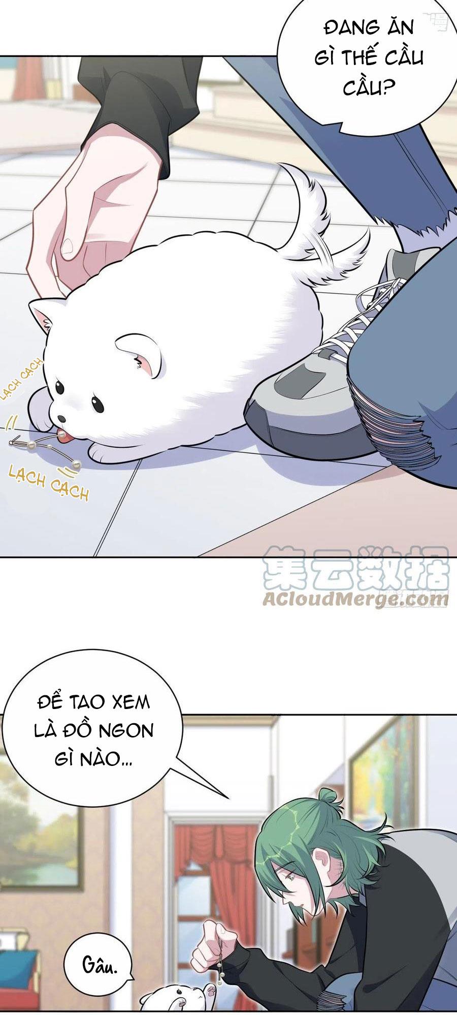 bố vợ đại nhân là bà xã chapter 168 20