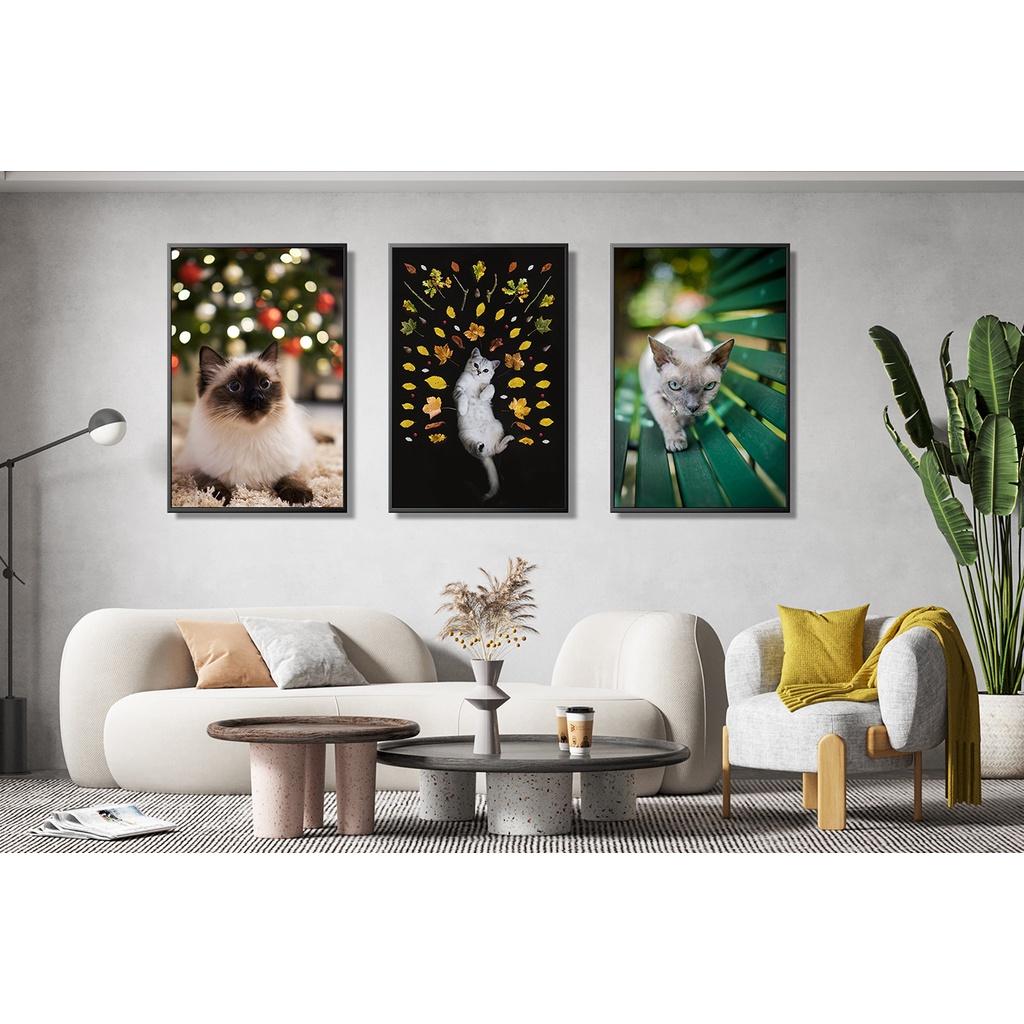 Bộ 03 tranh canvas treo tường chủ đề MIU CƯNG + khung composite và đinh treo – decor phòng xinh xắn và ấn tượng – BST01
