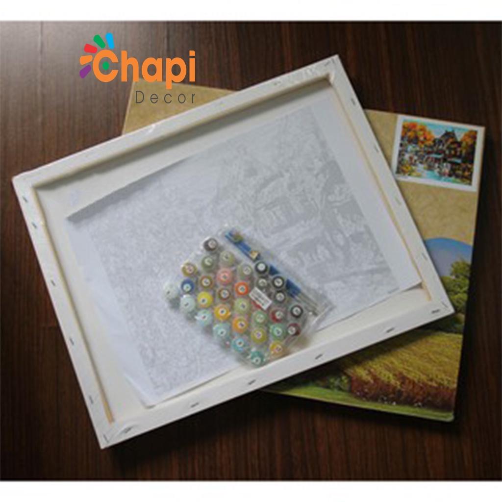 Tranh tô màu số hóa Chapi Hoa Sen Hồng Mã TSHL 201 Size 40x50cm đã căng khung