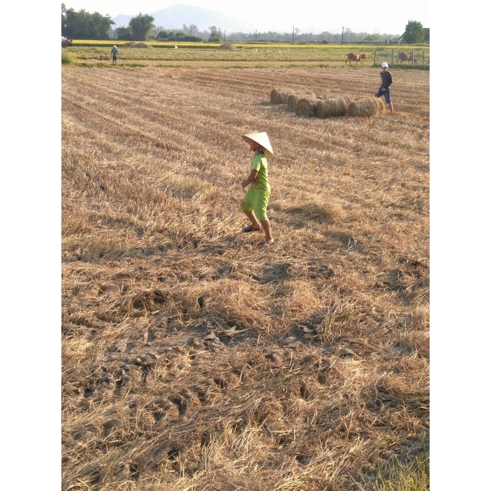 Bịch 1 ký vỏ trấu tươi